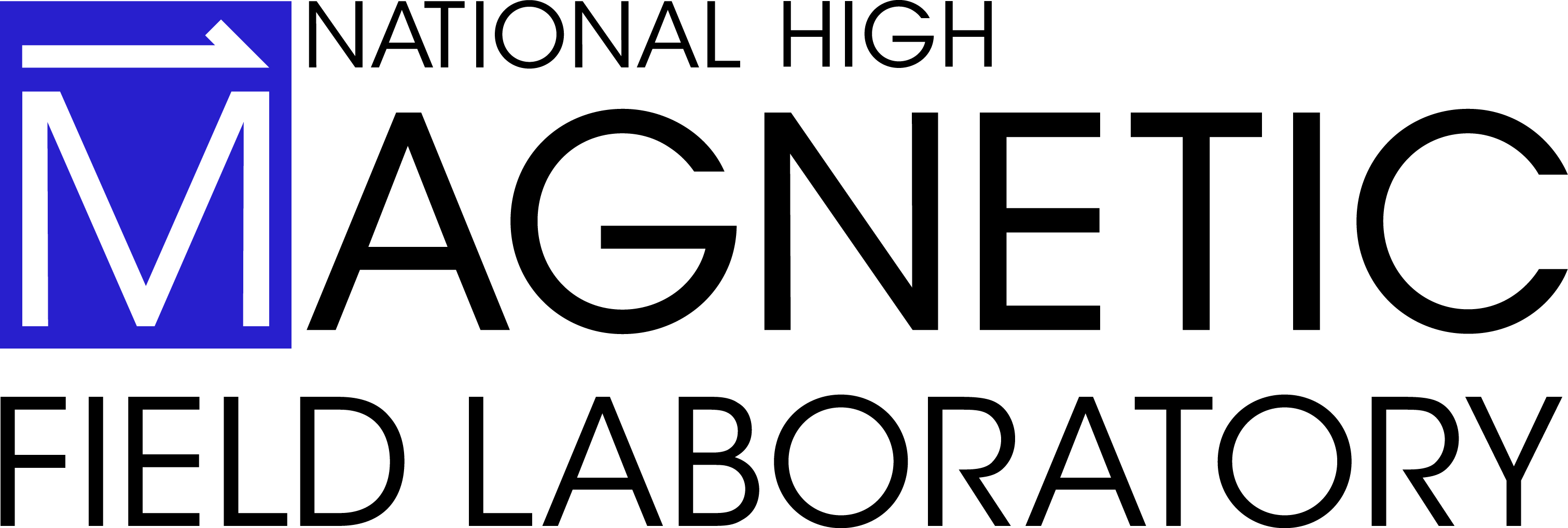 Maglab reu